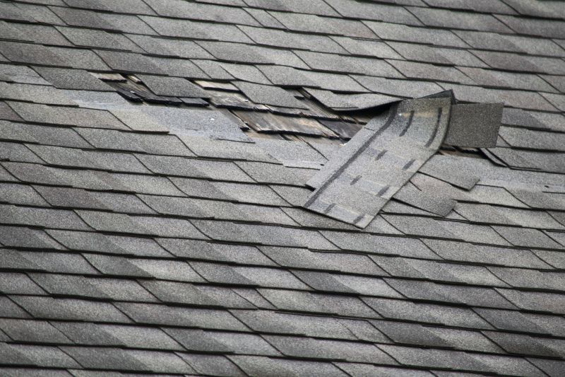 Emergency Roof Repair