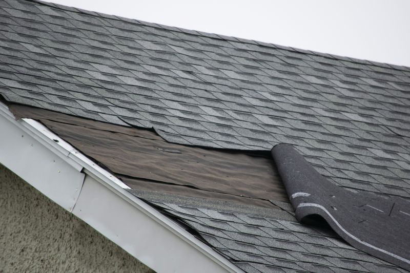Roof Ventilation Repair